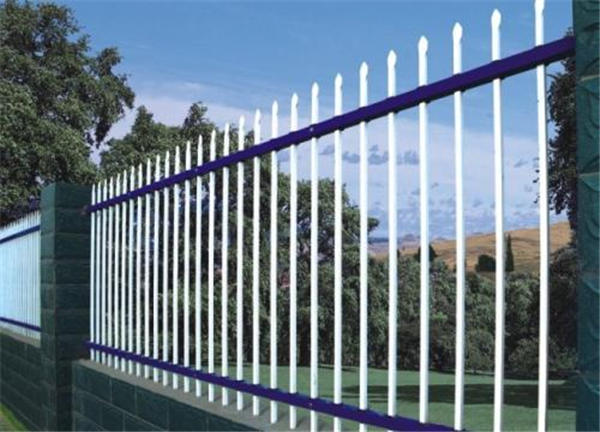 �����Fˇ-�\��o��